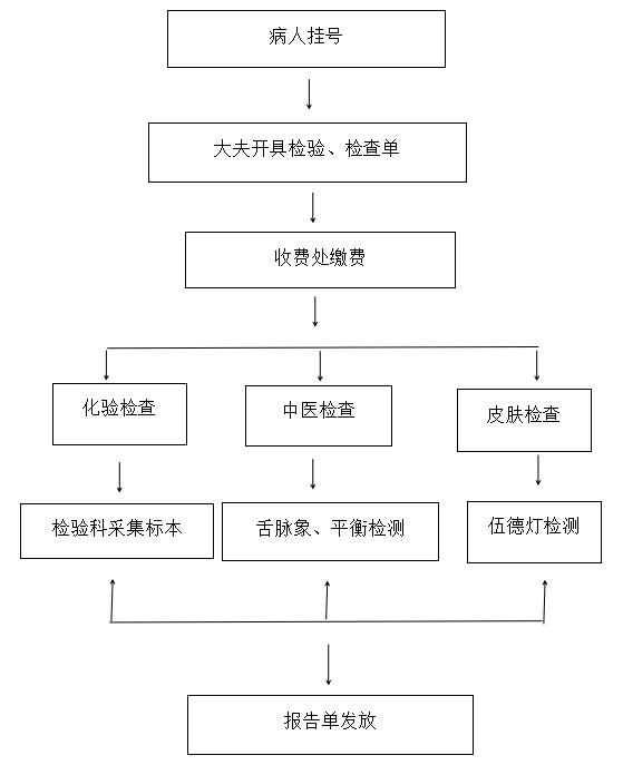 检验检查流程